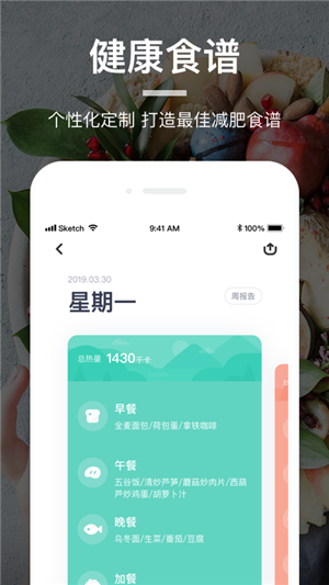 薄荷营养师app下载