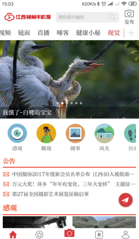 江西视频手机报免费版