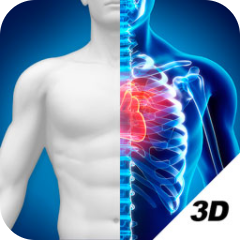 3D人体解剖图谱免费版
