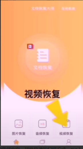 文档恢复大师极速版