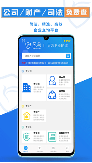 风鸟企业查询极速版