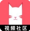 猫咪WWW免费人成软件极速版