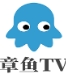 章鱼tv客户端