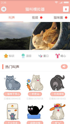 猫叫模拟器截图1