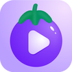 qzdsp茄子抖音短视频安卓版