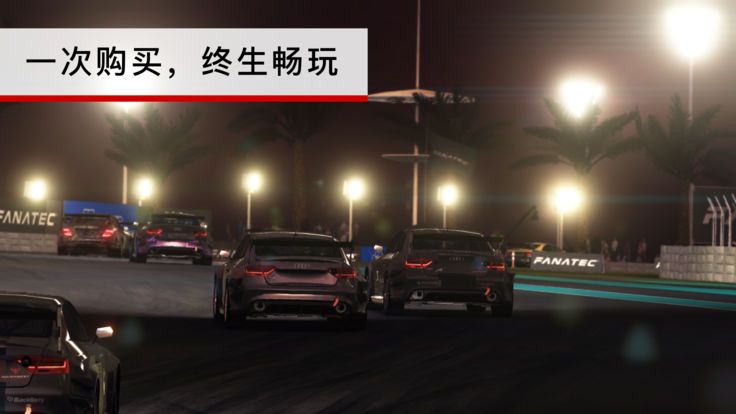 GRID Autosport截图2