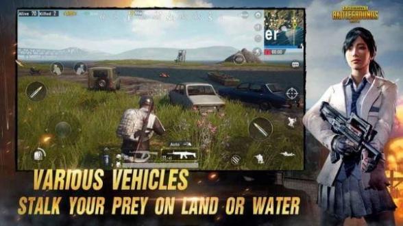 PUBG Mobile LITE安卓版截图1