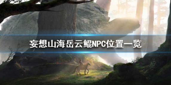 妄想山海岳云鲲NPC在哪