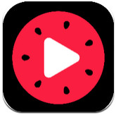 西瓜视频安卓免费观看版