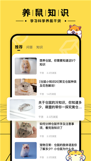 叠仓鼠app手机版