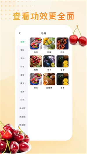 水果大全app安卓版