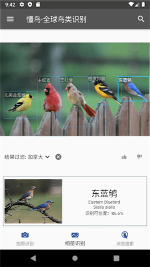 懂鸟全球app安卓版