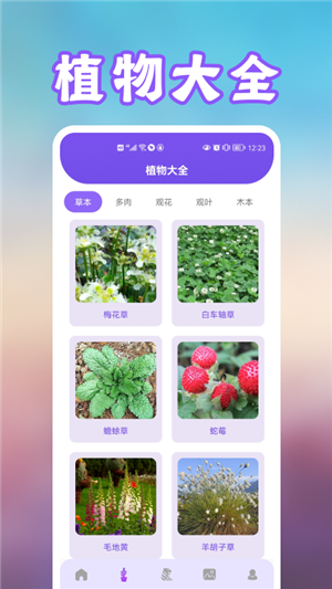 花朵识别app手机版