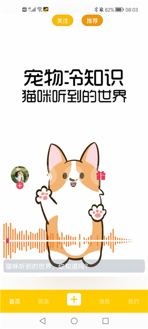 天聊短视频app手机版