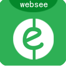 WebSee抓包工具精品版