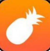菠萝蜜视频app经典版