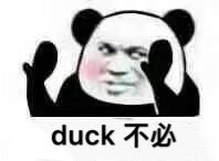 duck不必是什么意思