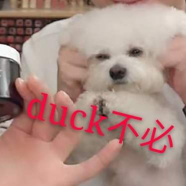 duck不必是什么意思