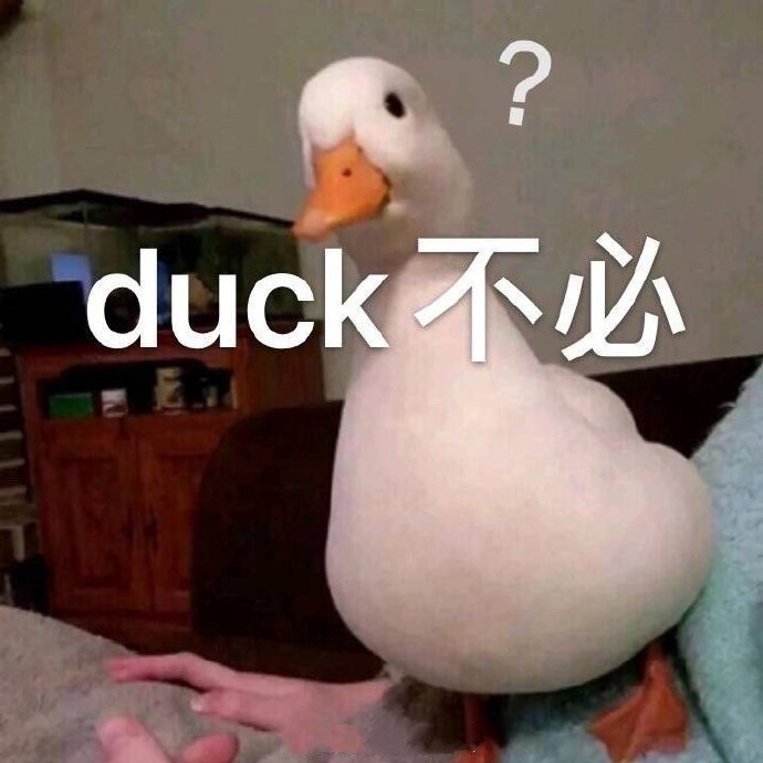 duck不必是什么意思