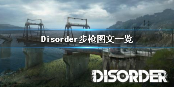 Disorder步枪有哪些