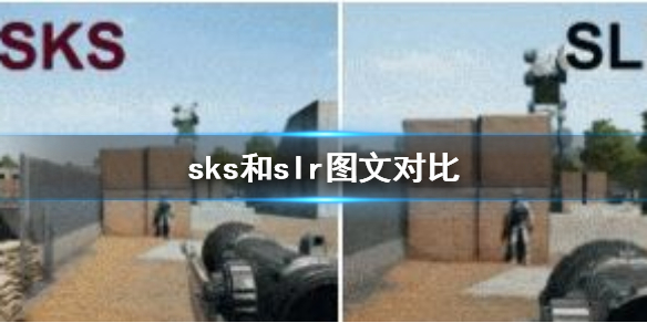 和平精英sks和slr哪个好