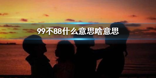 99不88什么意思啥意思