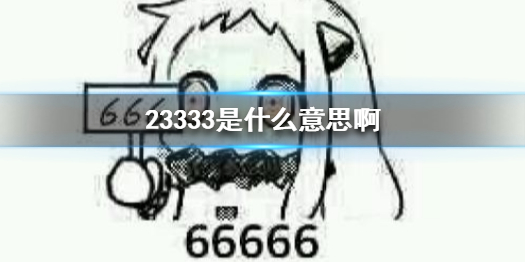 23333是什么意思啊