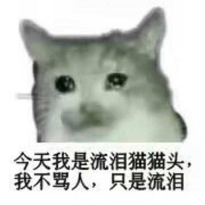 流泪猫猫头是什么梗