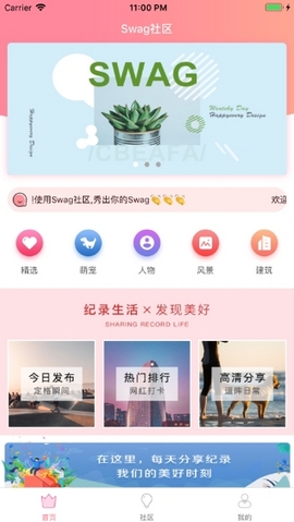 台湾swag安卓版截图1