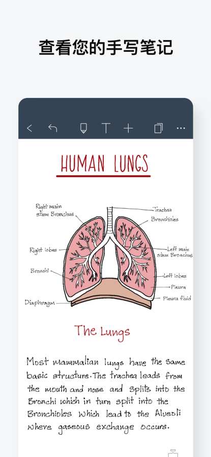 Noteshelf(手写笔记)安卓破解版截图2