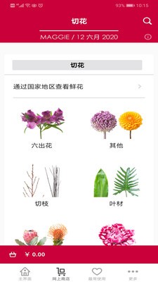 HasfarmFleuraMetz截图3