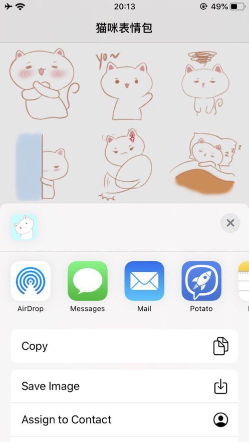 猫咪表情包截图2