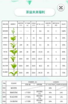 茶益未来CY截图2