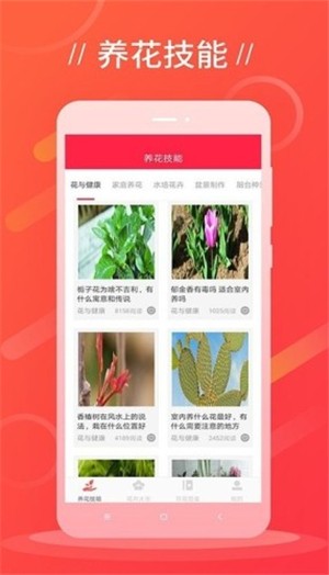 鲜花吧截图1