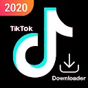 Tiktok视频无水印（暂未上线）