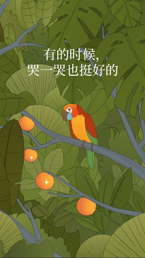 Bird截图3