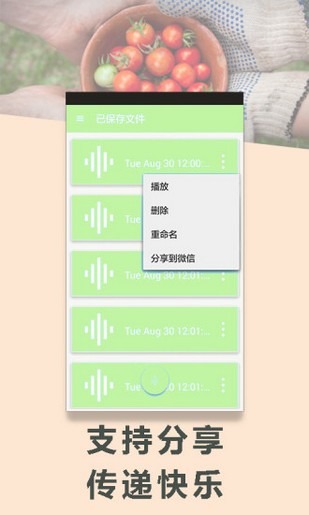 变声专家免费版截图1