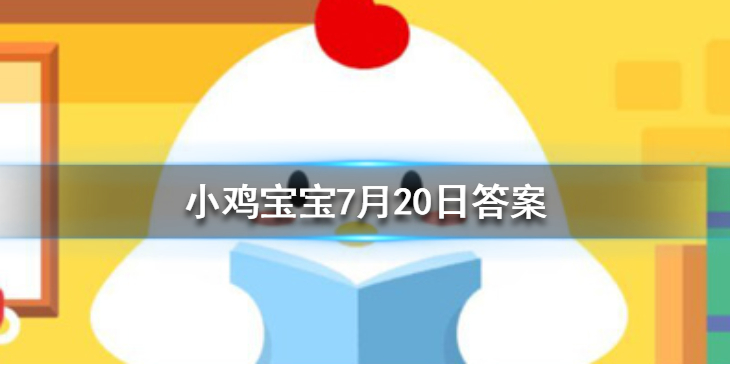 小鸡宝宝考考你想以下哪种动物拥有和人类相似的指纹