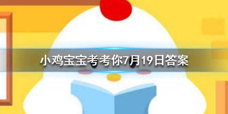 小鸡宝宝考考你跳街舞可以减肥减掉的脂肪主要是以什么形式排出体外