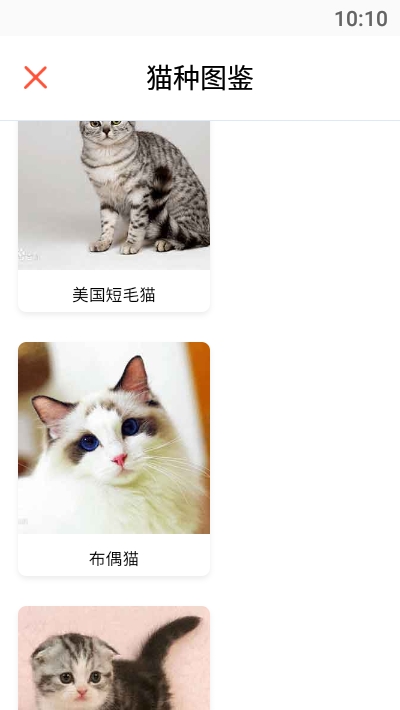 猫语翻译助手截图4