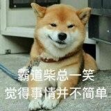 母猪文是什么梗