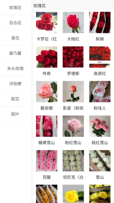 嘉佳花卉斗南鲜花批发截图3