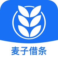 麦子借条