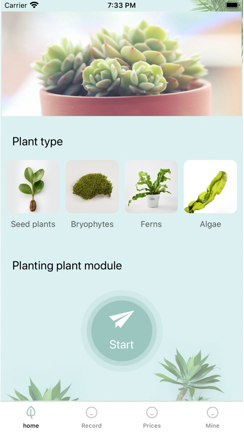 我的植物护理截图1