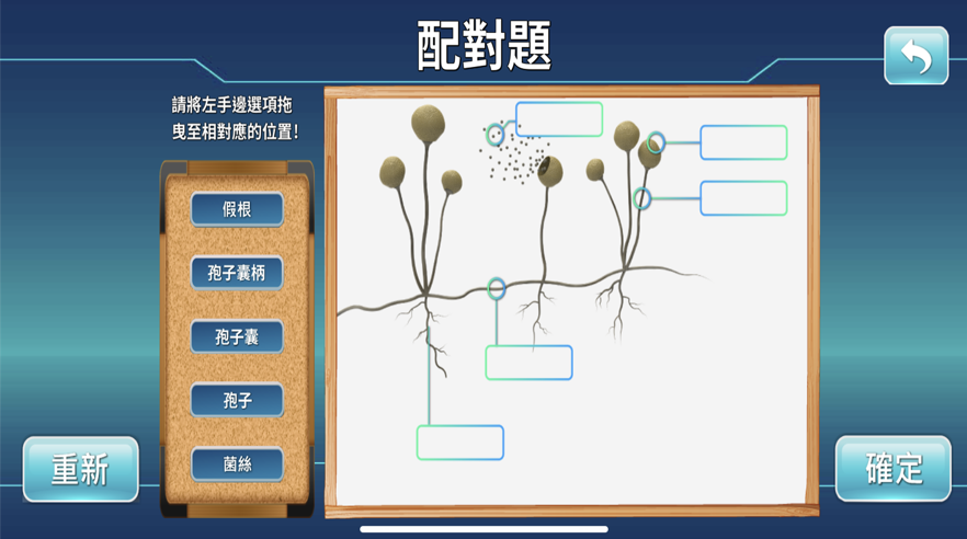 生活中的霉菌:AR截图1