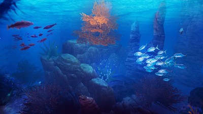 口袋VR水族馆截图3