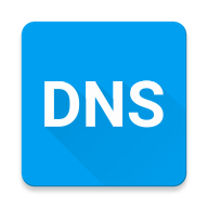 Pure DNS（智能解析）手机版