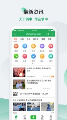 中国信鸽信息网截图1