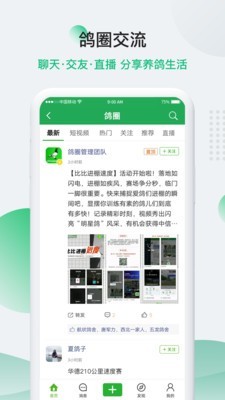 中国信鸽信息网截图2