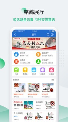 中国信鸽信息网截图3